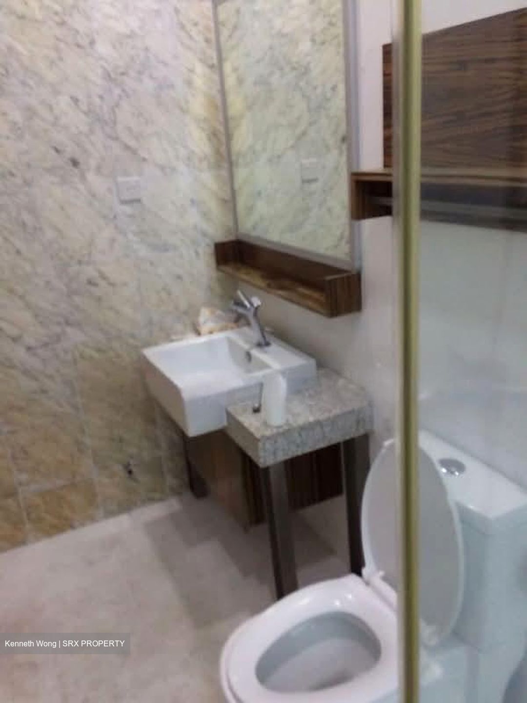 Gardenvista (D21), Condominium #560723501